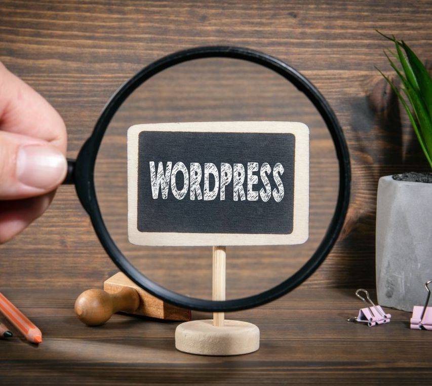 loupe recherche wordpress pour création site internet