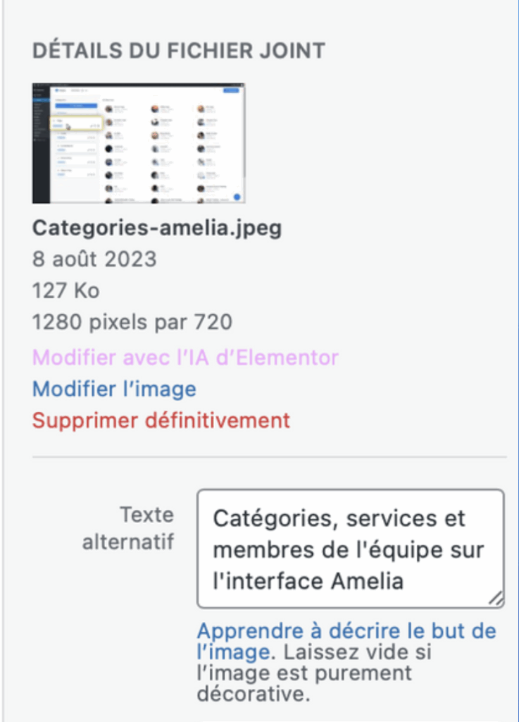 Exemple de texte alternatif