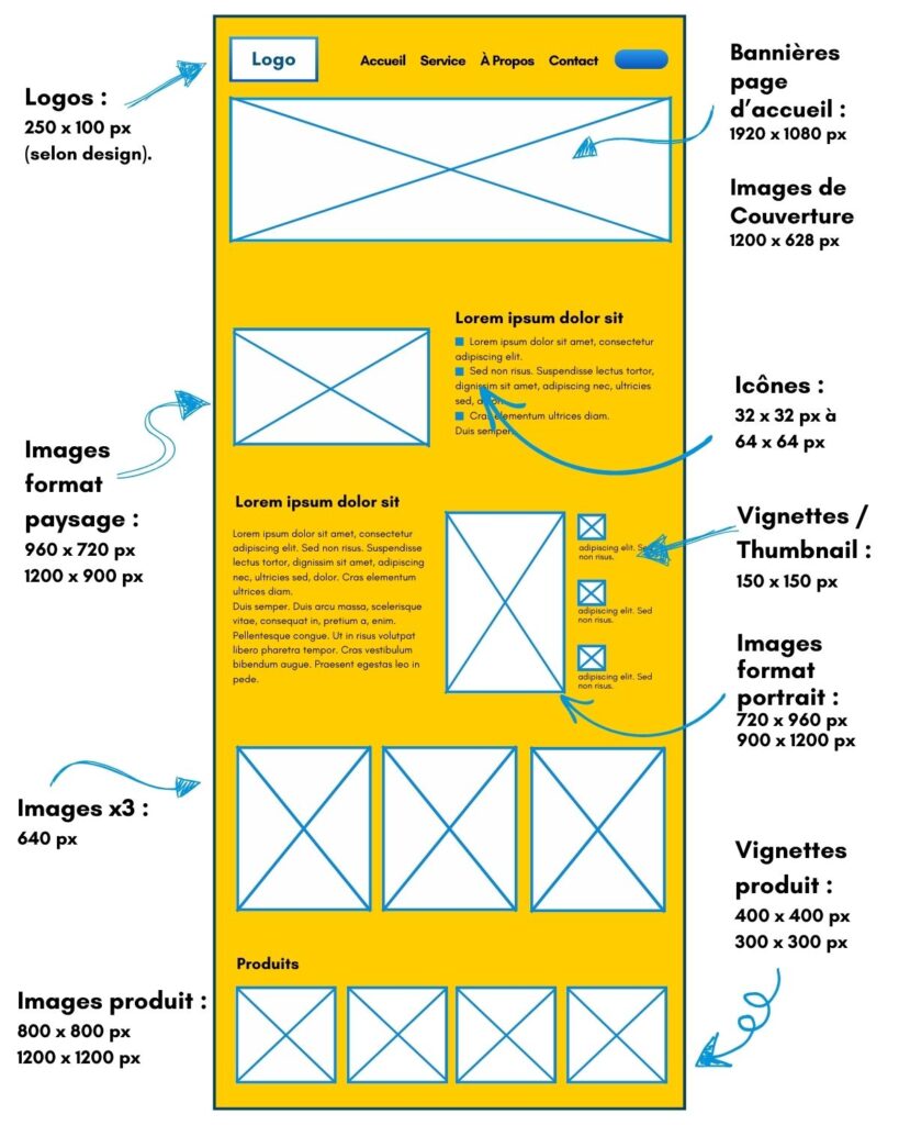 schéma des dimensions des images sur wordpress